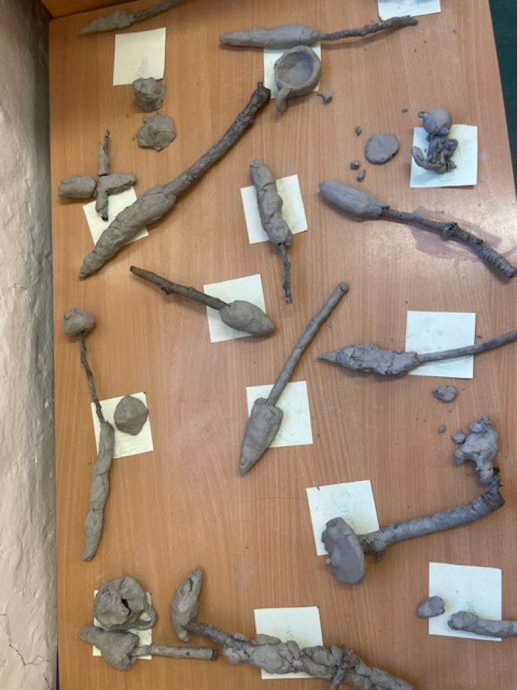 Year 3 - Stone Age - Daubeney Primary School